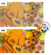 100W ACTION PRO LED Floodlight - LED Floodlight