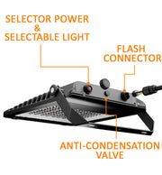100W LED Floodlight MAXLITE 3CCT with SOSEN Driver IP65 160Lm/W 5 Years Warranty - Flood & Spot Lights - Floodlights