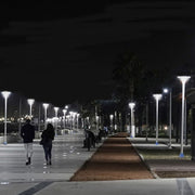 100W Solar SUNWAY Street Lights 3000K - Landscape Pathway Lighting - Street Lights