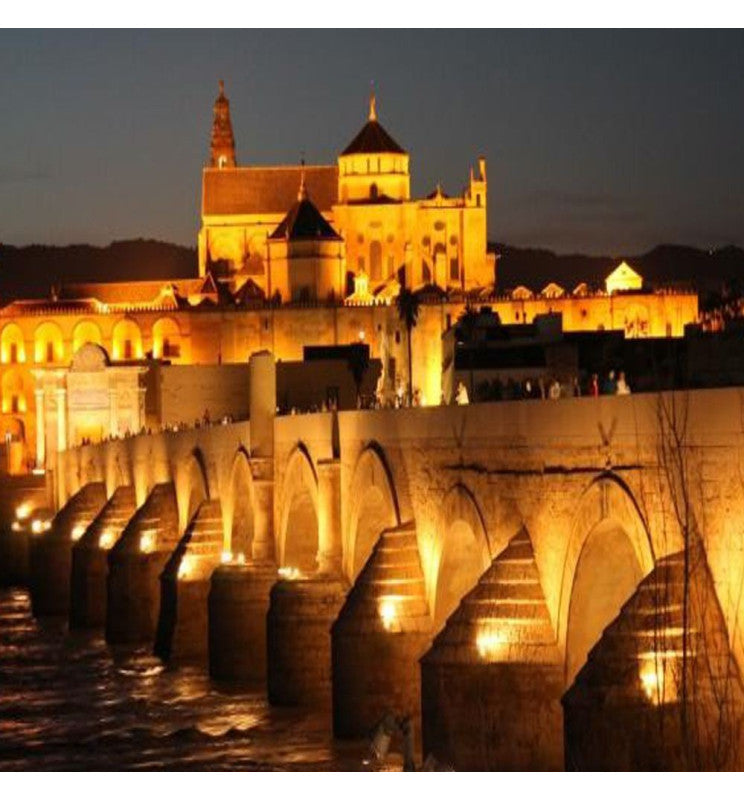 30W ACTION PRO LED Floodlight