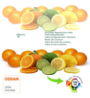 10W LED GU10 Bulb 110° 1200Lm OSRAM - LED Light Bulbs - Lamps