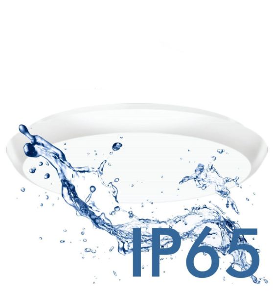 12W 16W 20W Surface Mounted LED Bulkhead Light 3 CCT - Bulkhead