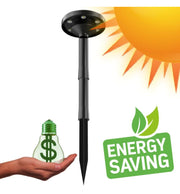 1W Outdoor Solar LED Garden Spike Light 3 CCT - Landscape Pathway Lighting - Solar Lighting