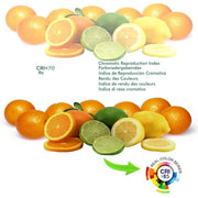 20W AROSA LED Downlight with OSRAM Chip 3 CCT - LED Downlight