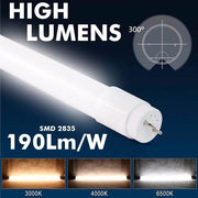 20W MAX LUMENS T8 LED Tube 120cm 5700K - Fluorescent Tubes - Lamps