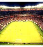 240W LED Floodlight PHILIPS Xitanium STADIUM MATRIX Bridgelux Chip - Philips Driver 160Lm/w 5000K - Flood & Spot Lights