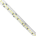 24V Indoor LED Strip light 5m 6000k - LED Strip - Ledex Lighting UK