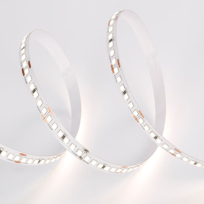 24V Indoor LED Strip light 5m 6000k - LED Strip - Ledex Lighting UK