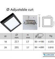24W Square MOSS LED Ceiling Light in Black 3 CCT with Adjustable Cut-Out - Ceiling Light Fixtures - Downlights