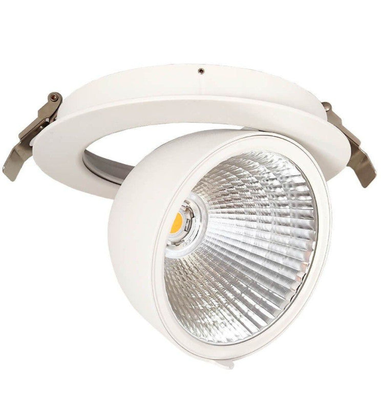 30W Adjustable HAMBURG LED Spotlight with PHILIPS Driver 3 CCT - Flood & Spot Lights - Downlights