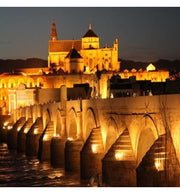 20W Black ACTION LED Floodlight - LED Floodlight