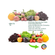 30W Single-Phase LED Track Light PARMA in Black 4000K - LED Spotlight