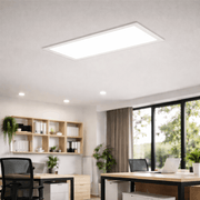 36W Surface Mounted or Recessed LED Panel 60X30 GXtronic Driver 3CCT - Ceiling Light Fixtures - Panels