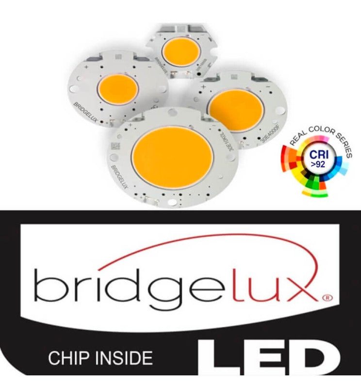 40W Adjustable Recessed LED Spotlight with Philips Driver CCT CRI92 - Flood & Spot Lights - Downlights