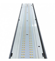 40W Tri-Proof LED Batten 120cm with PHILIPS driver and 3 CCT - Ceiling Light Fixtures - Battens
