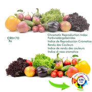 44W Round LED Downlight UGR17 3 CCT - LED Downlight