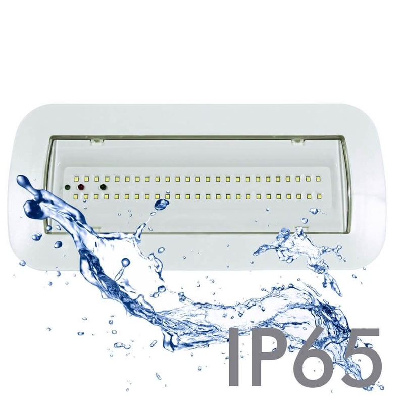4W LED Emergency Light with Ceiling Kit and Permanent Option IP65 6000K - Emergency Lighting - Emergency Lighting