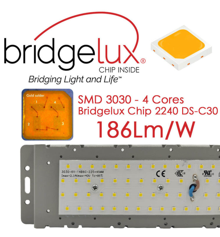 50W Wanda LED Bollard 4000K