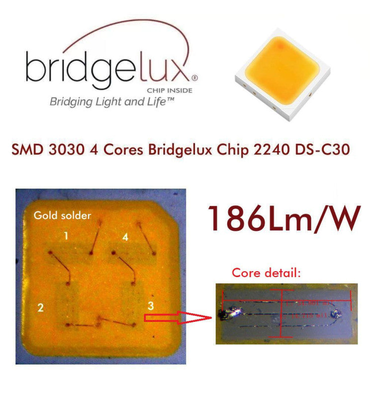 50W MAGNUM LED Floodlight with BRIDGELUX Chip 5000K - STANDARD 10-20 working days - LED Floodlight