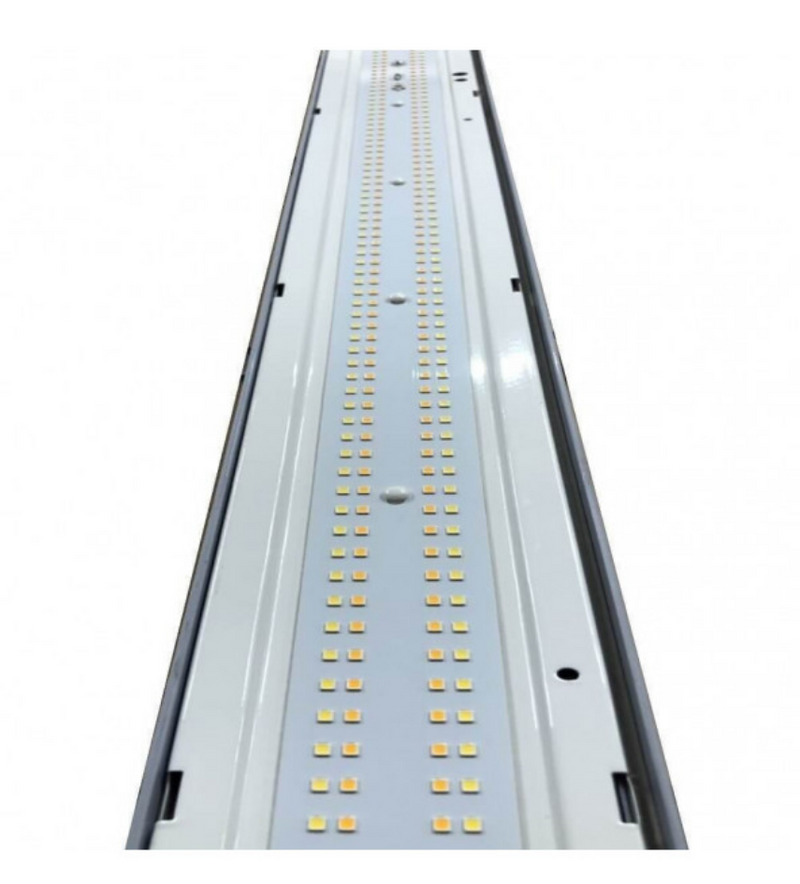 40W Tri-proof Emergency LED Batten 120cm 3 CCT - LED Batten
