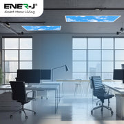 60W Fake Sky LED Backlit Panel with 2D Picture 1195x595mm - Ceiling Light Fixtures - Panels