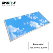 60W Fake Sky LED Backlit Panel with 2D Picture 1195x595mm - Ceiling Light Fixtures - Panels
