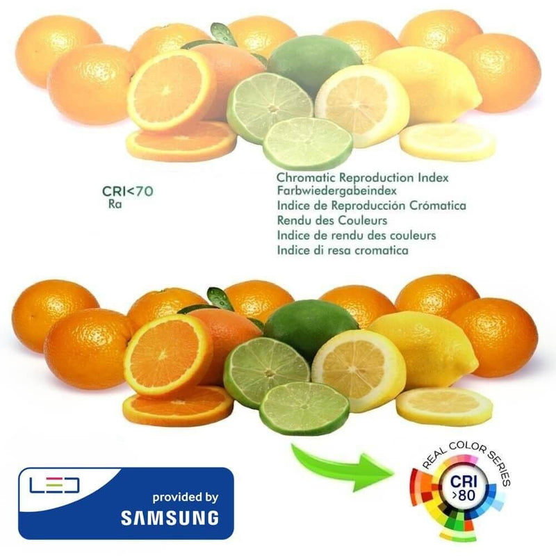 6W GU10 Glass LED Bulb with SAMSUNG Chip 3000K - LED Light Bulbs - Lamps