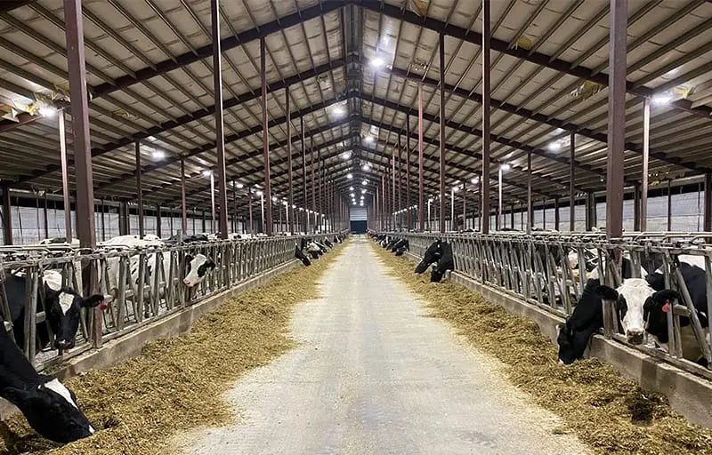 Outside Farm Light Farm Lighting UK - LED Lights for Yards, Barns, and Agriculture | Ledex ...