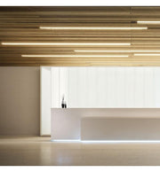 Dimmable Linear MOSCOW LED Light Black 0.44m 0.94m 1.44m 1.94m - LED lineal light