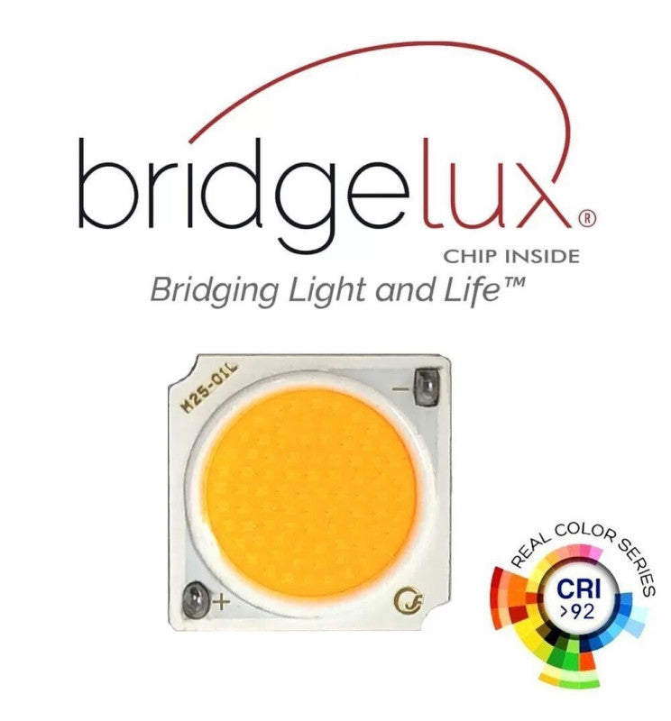 30W Single Phase PARMA LED Spotlight Black 3 CCT - LED Tracking Light