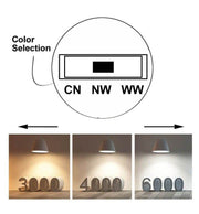 30W Single Phase PARMA LED Spotlight Black 3 CCT - LED Tracking Light