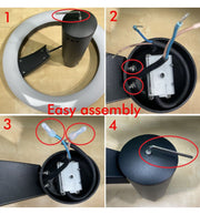 60W Urban LED Street Light with INVERTRONICS Driver - LED Streetlight
