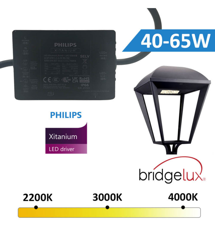 65W VILLA ELITE LED Streetlight with MOSO/PHILIPS/GXTronic Driver - LED Streetlight