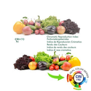 30W Single Phase NORA LED Track Light 4000K White - LED Tracking Light