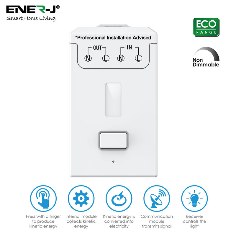 Non Dimmable 500W RF Receiver for ECO RANGE SWITCHES