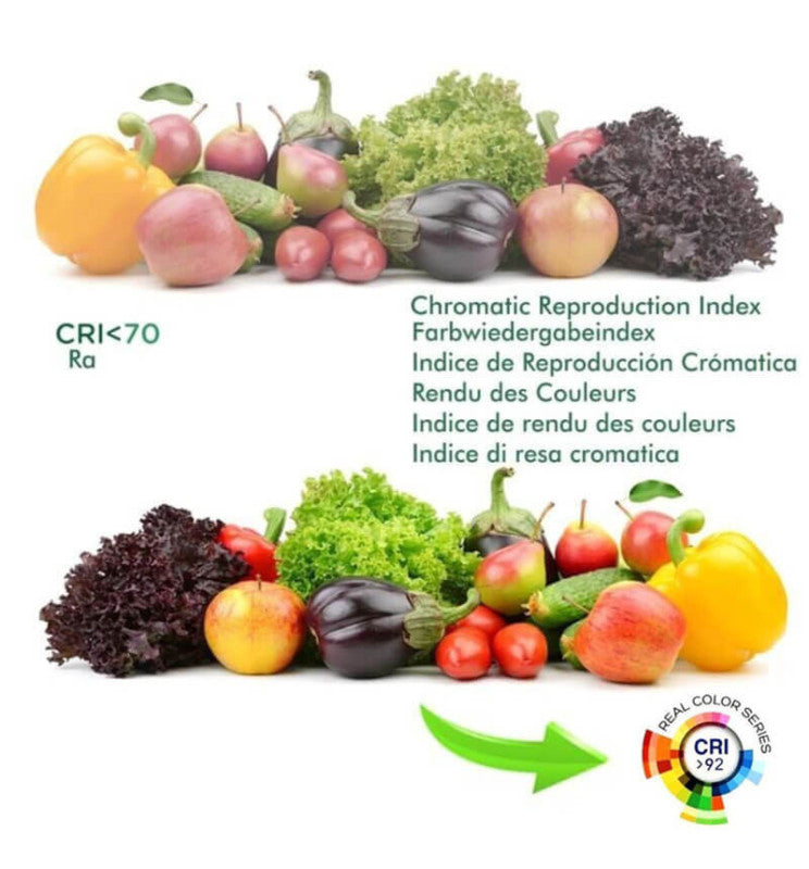 40W LED Panel 120x30cm with PHILIPS Driver 2 Pack - LED Panel