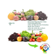 30W Single Phase BERNA LED Track Light 3000K Black - LED Tracking Light